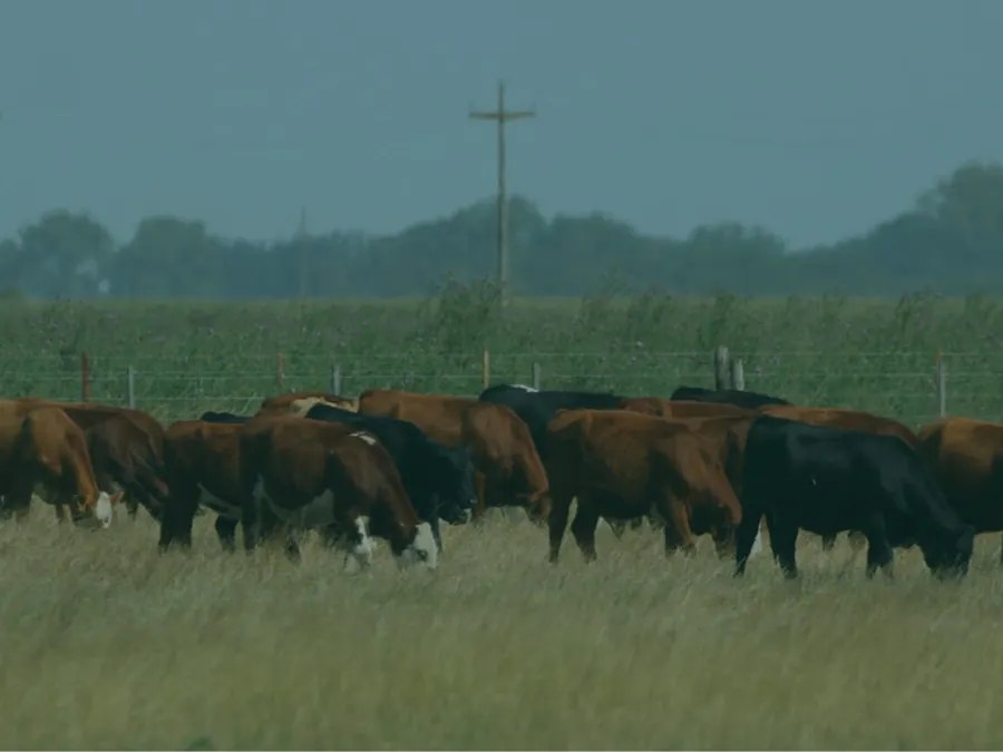 Territorio productivo agroindustrial en el interior de Argentina