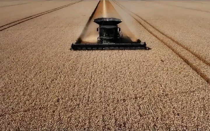 Geopolítica de los alimentos en un mundo en conflicto: escenarios y dilemas para Argentina